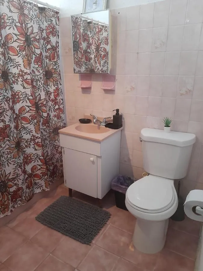 Cozy Apartment Across The San Juan Airport